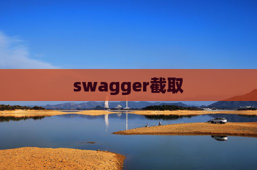 swagger截取